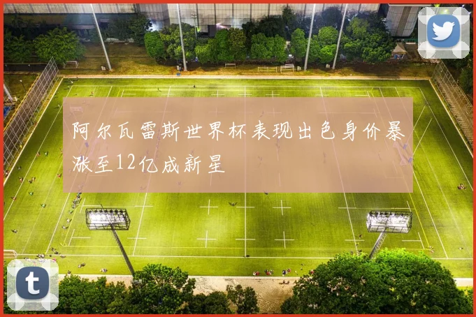 阿尔瓦雷斯世界杯表现出色身价暴涨至12亿成新星