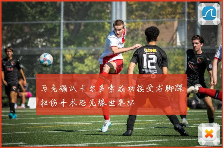 马竞确认卡尔多索成功接受右脚踝扭伤手术恐无缘世界杯