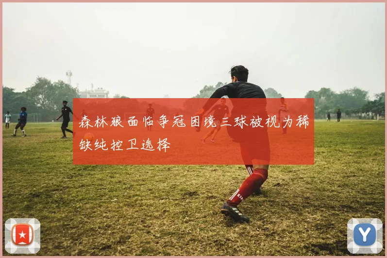 森林狼面临争冠困境三球被视为稀缺纯控卫选择