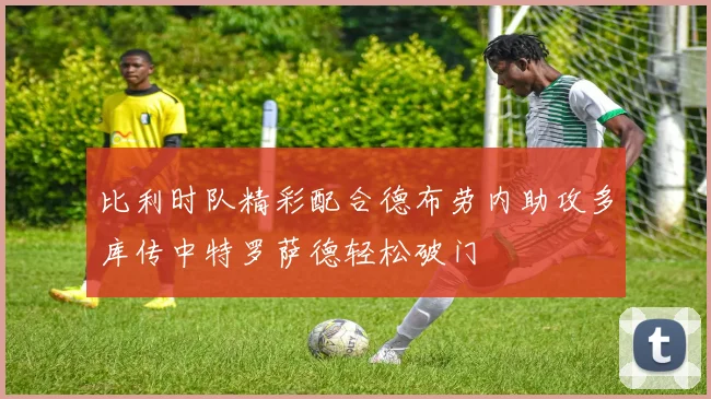比利时队精彩配合德布劳内助攻多库传中特罗萨德轻松破门