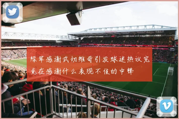 绿军感谢武切维奇引发球迷热议究竟在感谢什么表现不佳的中锋